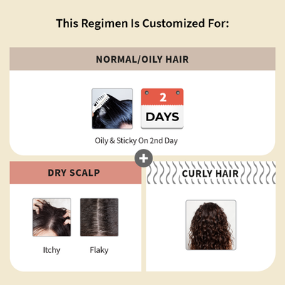 Customized Hair Care Regimen For Normal/Oily Hair | Dry Scalp & Curly Hair